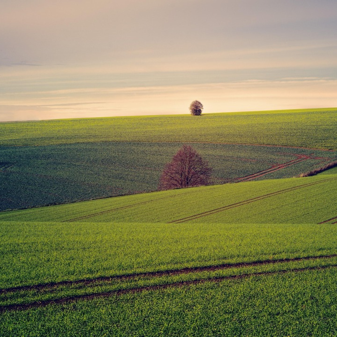 La courage de la terre
